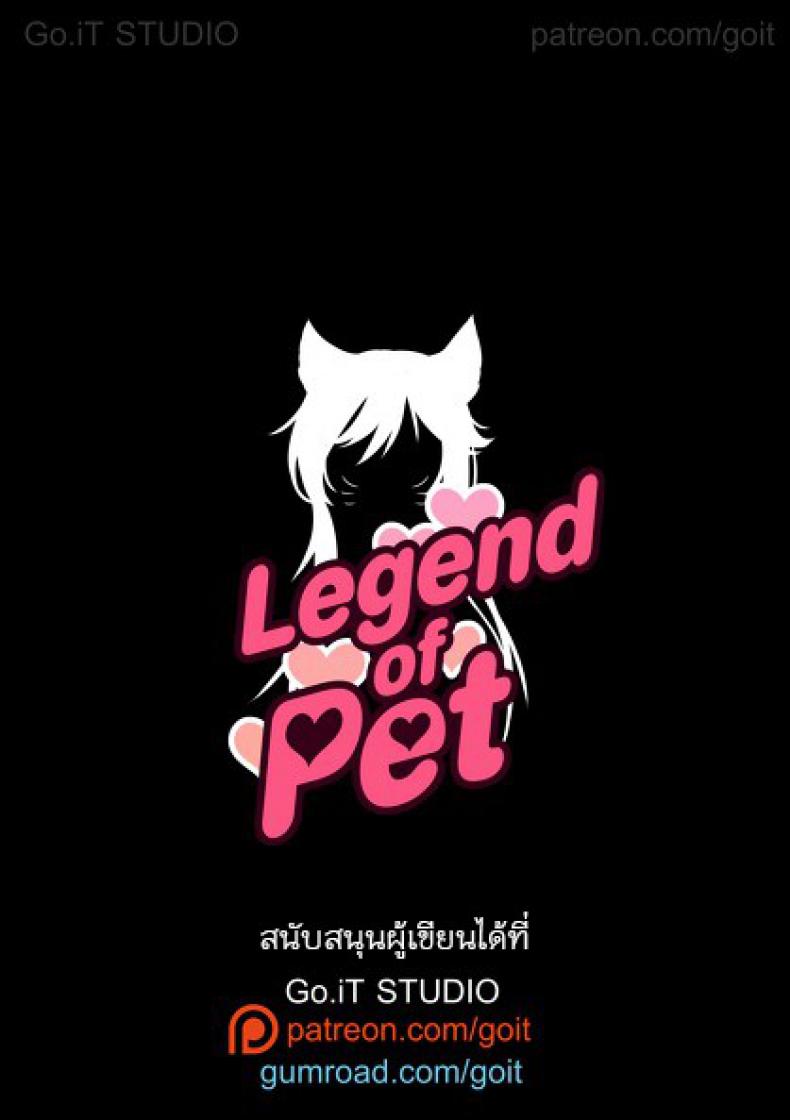 แมวสาวอาริ-Go-It-Legend-of-PET-1-League-of-Legends-8