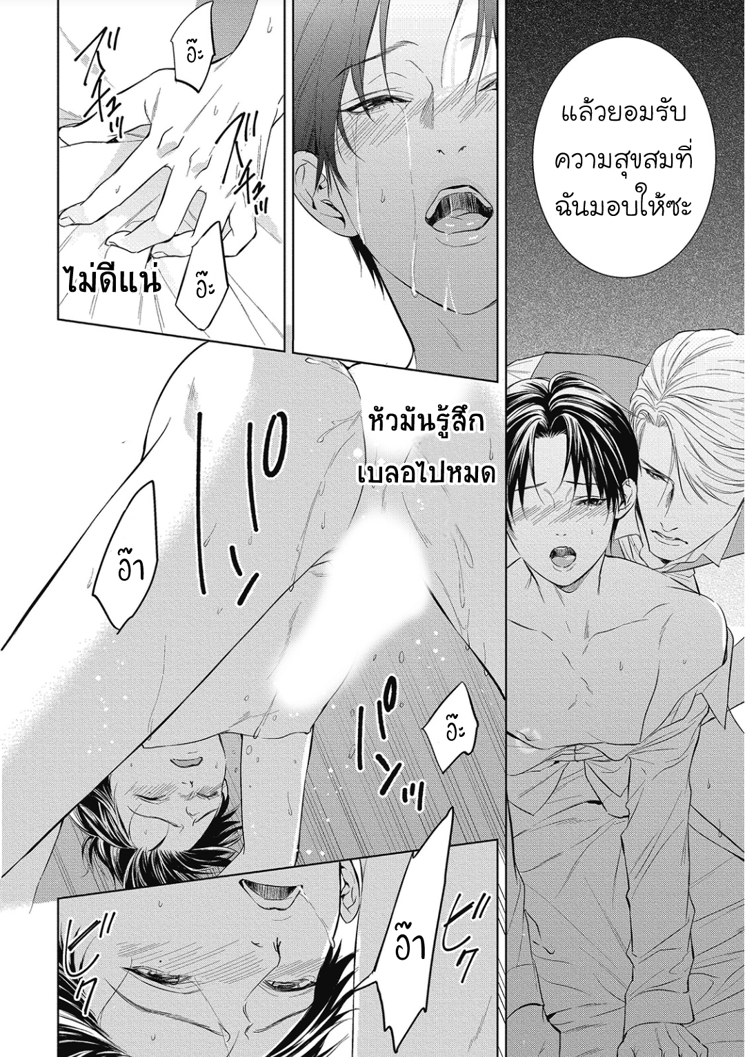 นายภรรยา-ของอัลฟ่า-3-Alpha-no-hanayome-kyoumei-renjou-12