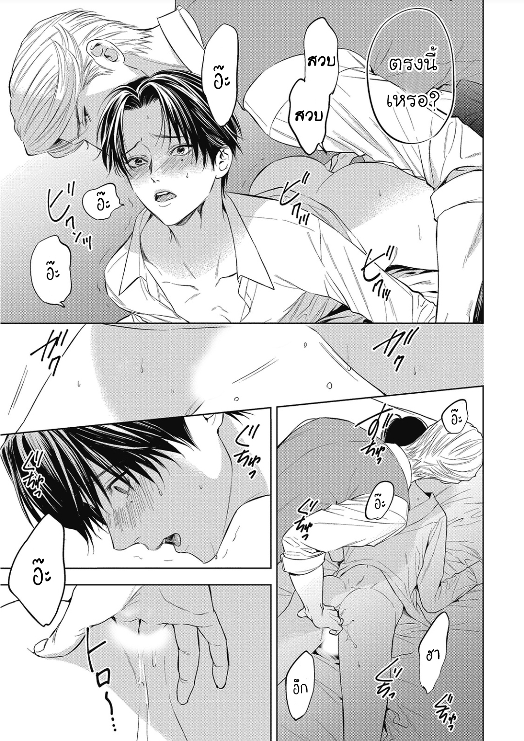 นายภรรยา-ของอัลฟ่า-3-Alpha-no-hanayome-kyoumei-renjou-5