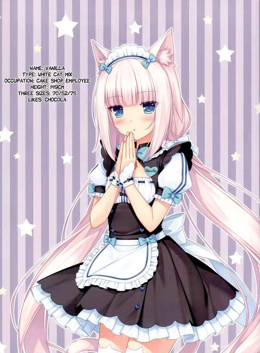 รับรองได้ว่า-นายต้องชอบ-C84-NEKO-WORKs-Sayori-Neko-Para-01-3