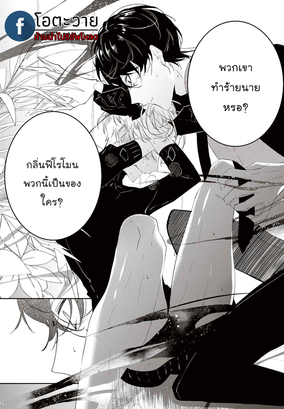 สายพันธุ์ที่หายาก-4.5-CASTEHATE-CH.4.5-2