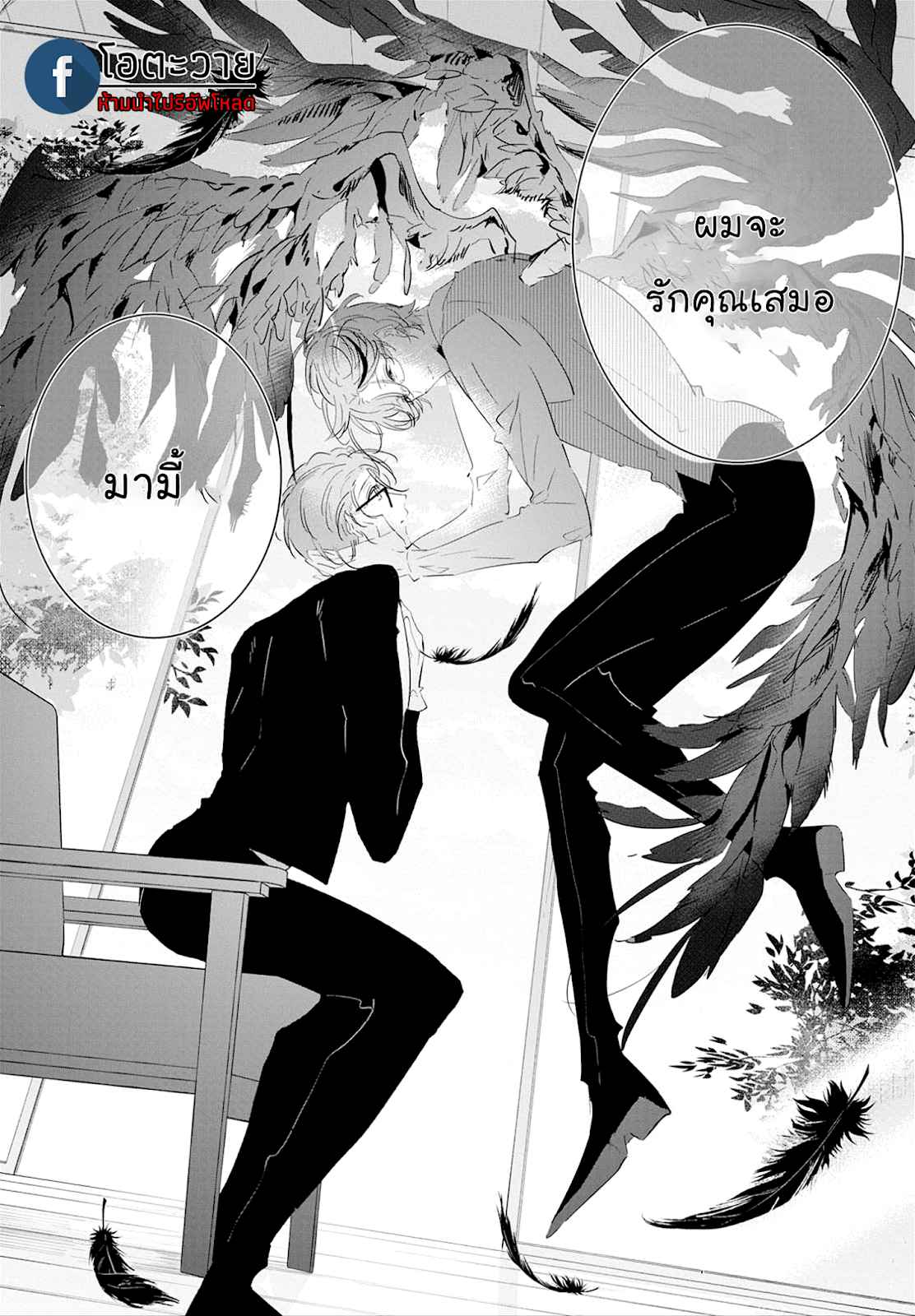 สายพันธุ์ที่หายาก-5-CASTEHATE-CH.5-8