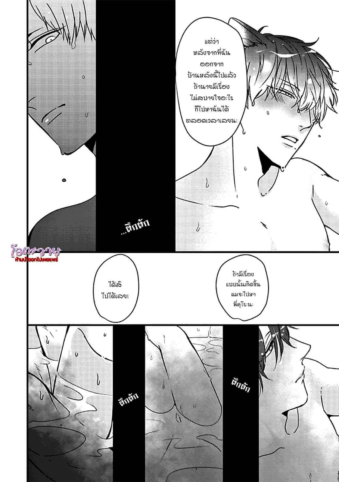 เจ้าเหมียวที่รัก USAGI TO NEKO NO HATSUJOU JIJOU (15)