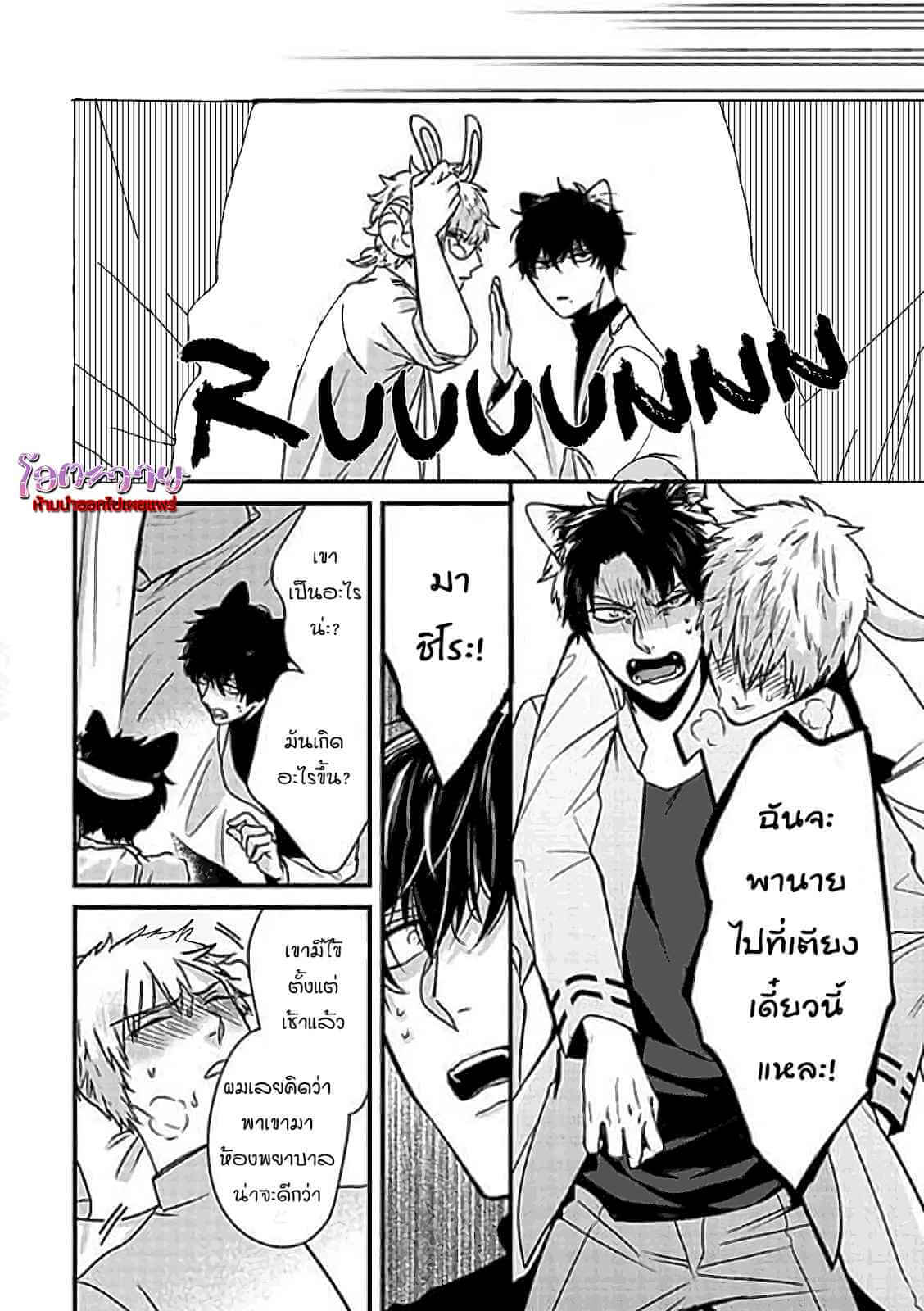 เจ้าเหมียวที่รัก USAGI TO NEKO NO HATSUJOU JIJOU (21)