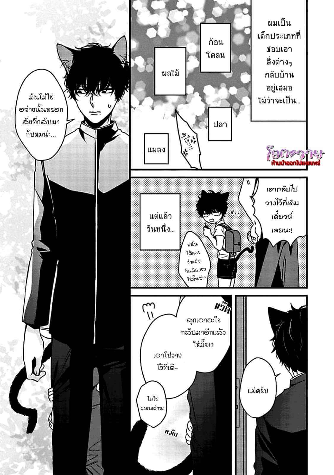 เจ้าเหมียวที่รัก USAGI TO NEKO NO HATSUJOU JIJOU (4)